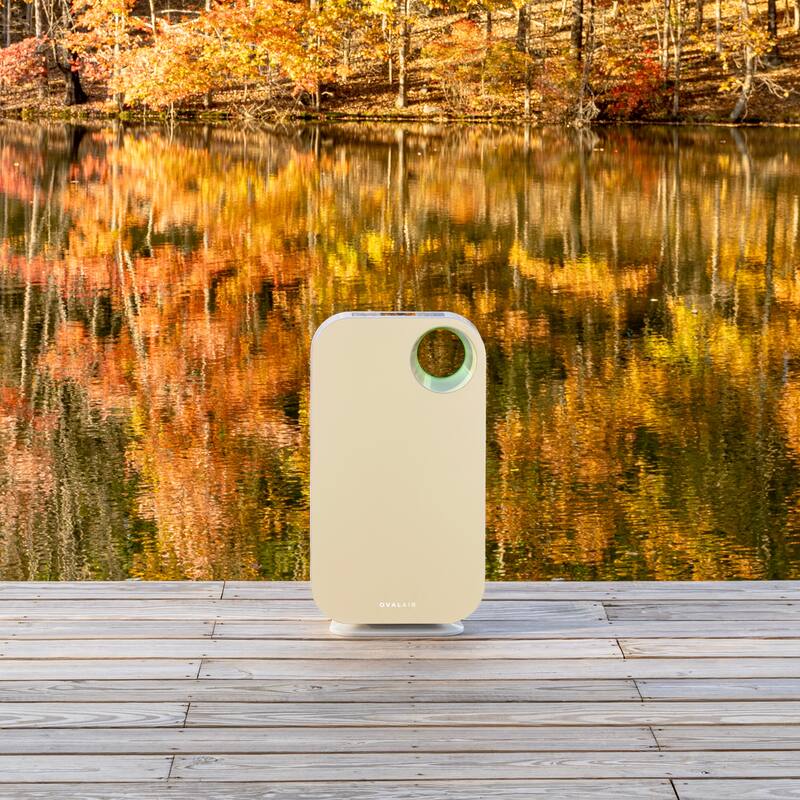 OVAL AIR 3-Stage H13 True HEPA 5-in-1 Air Purifier for Rooms up to 600 sq. ft. reduces Allergies, Asthma, Pets, Odor, Smoke