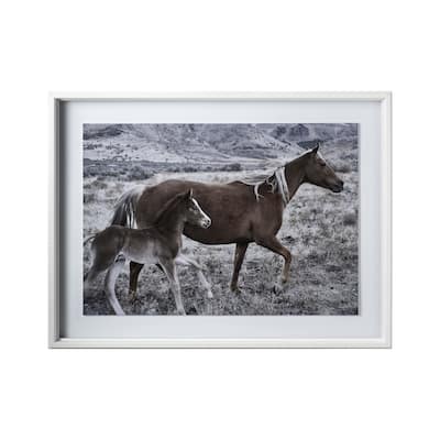 Horse 2 Framed Art Print
