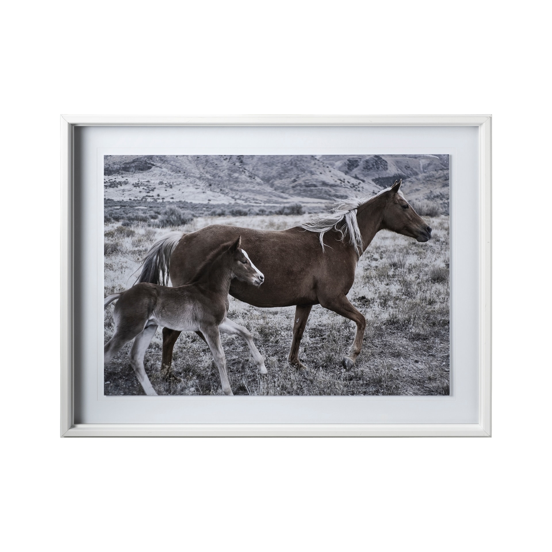 Horse 2 by Dunker a Framed Photo Art Print Matted under Glass