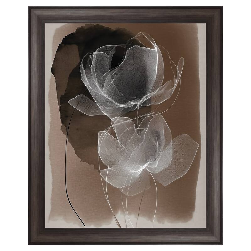 Masterpiece Art Gallery| Gossamer Chocolate I by Annabelle Hall - Framed Canvas Art Print
