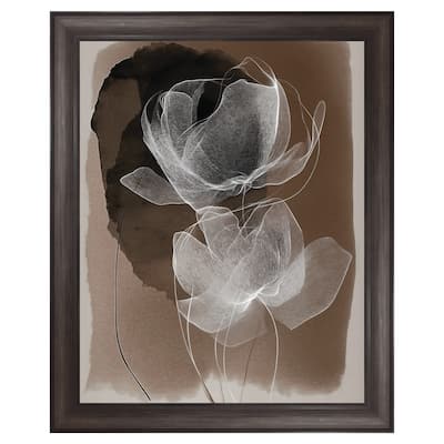Masterpiece Art Gallery| Gossamer Chocolate I by Annabelle Hall - Framed Canvas Art Print