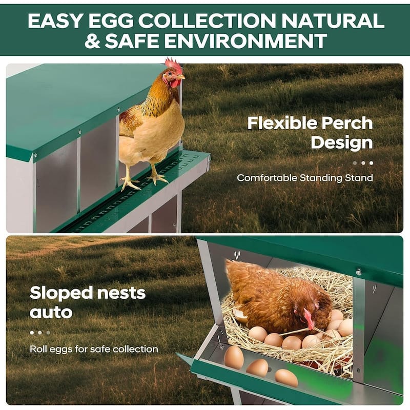 10 Compartment Nesting Box, Chicken Laying Box, with Bracket Legs, Easy to Clean and Install