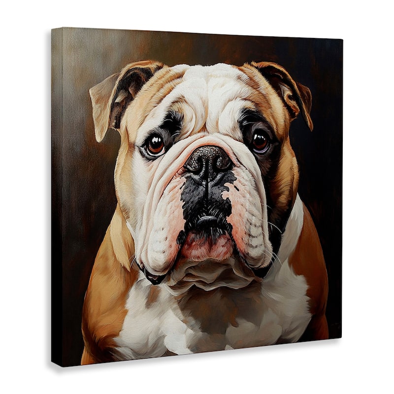 Stupell Stoic Bulldog Portrait Canvas Wall Art Design By Tom Crehan