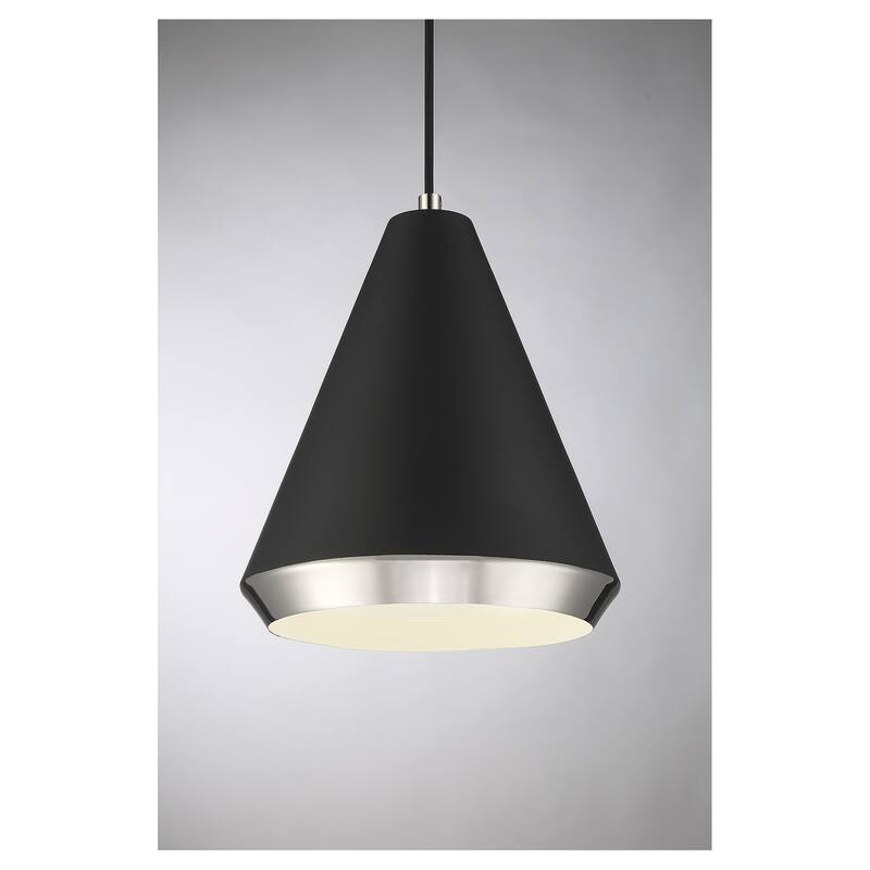 Meridian M70122 10" Wide Pendant