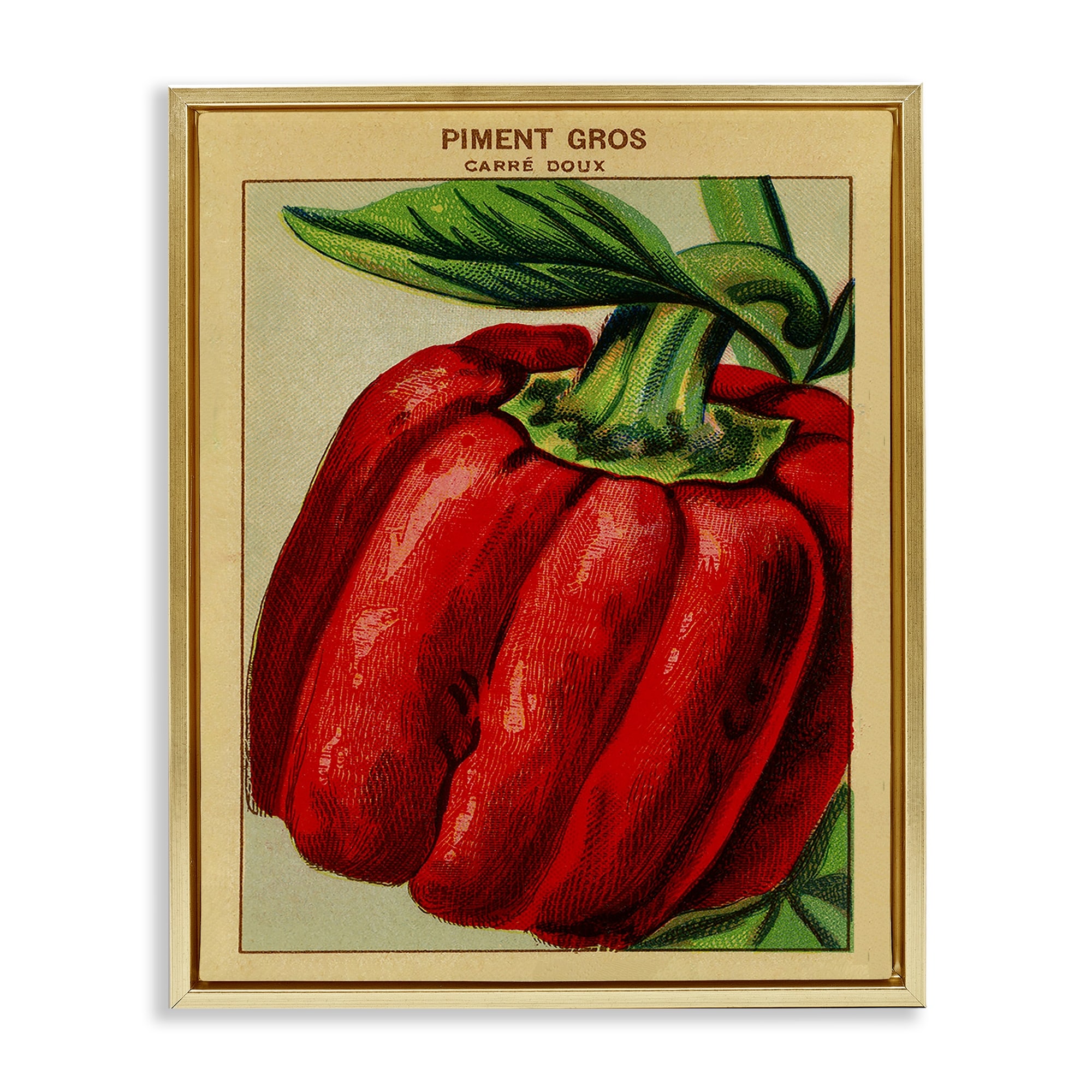 Stupell Country Vintage Pepper Framed Floater Canvas Wall Art Design By Lil' Rue