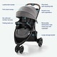 preview thumbnail 6 of 4, Graco Outpace All-Terrain Travel System, Briggs