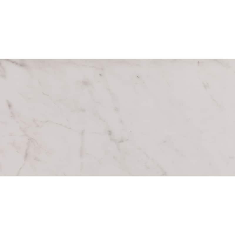 Daltile Core Fundamentals Platinum 12" x 24" Floor Tile (9 PC Per Carton) (17.60 SQFT Per Carton)
