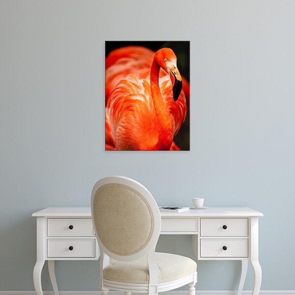 Easy Art Prints Joe Restuccia III's 'King Penguins' Premium Canvas Art