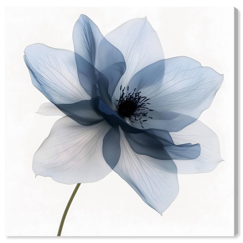 Morning Petalia I Canvas by Art Remedy, Gallery Wrapped