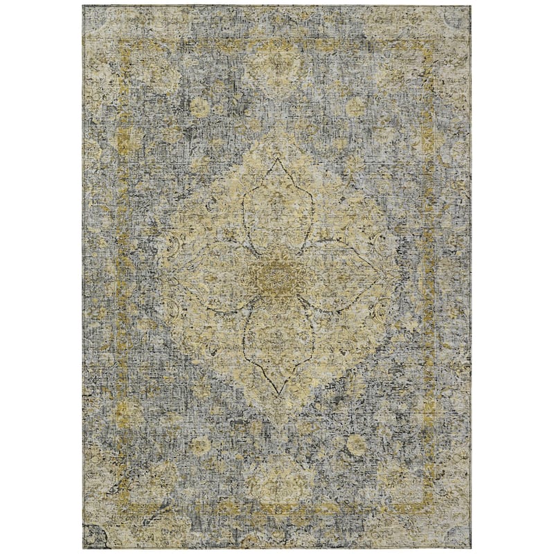 Machine Washable Indoor/Outdoor Traditional Global Chantille Rug