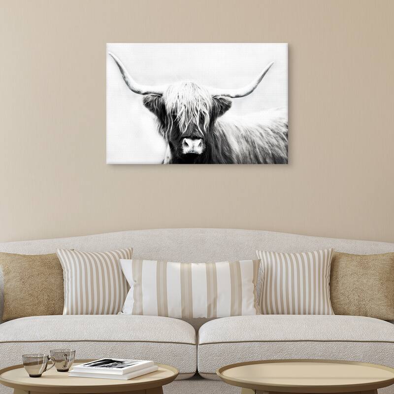 Highland Longhorn by Danita Delimont Canvas Art Print