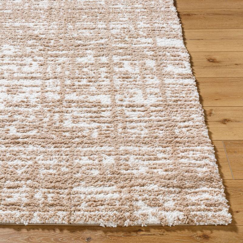 Livabliss Modern & Contemporary Sacramento Shag Ombre Area Rug
