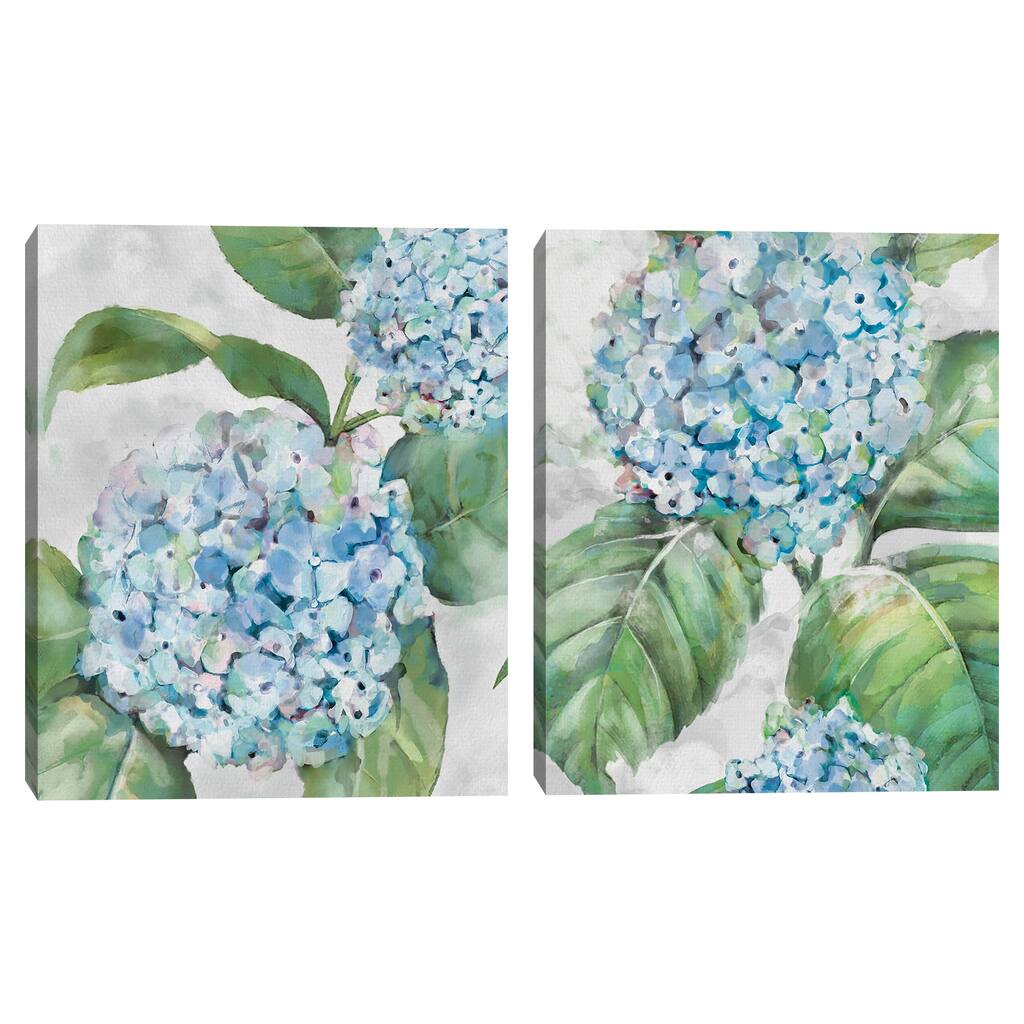 Hydrangea Portraits I & II by Studio Arts Canvas Art Prints