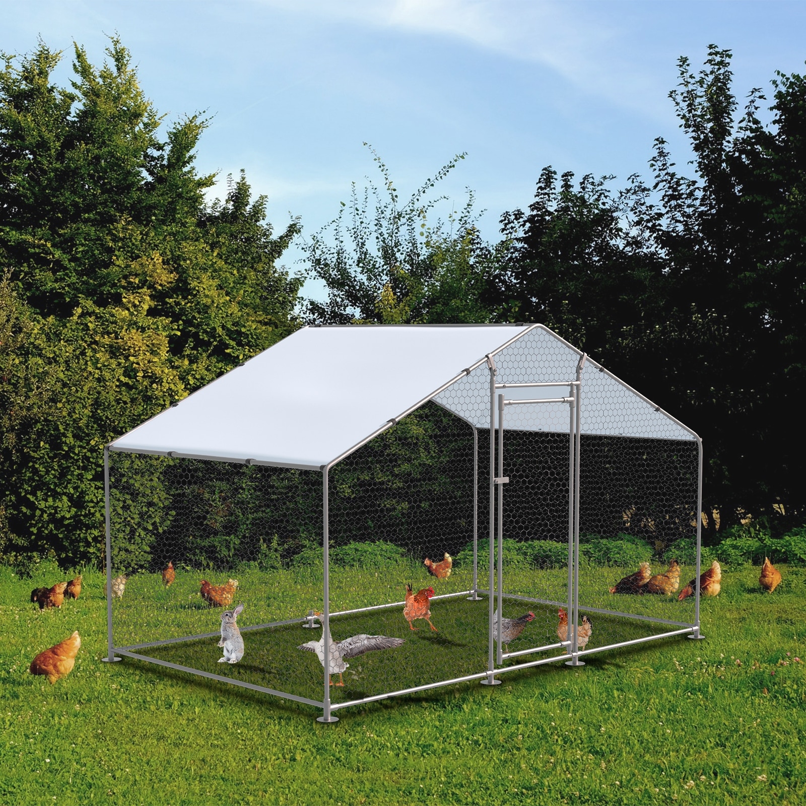 Metal Chicken Coops Bed Bath & Beyond