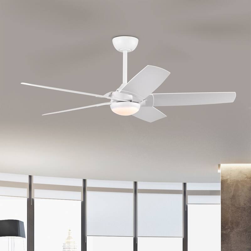 Angus 5-Blade Lighted Ceiling Fan with LED Lamp with Remote