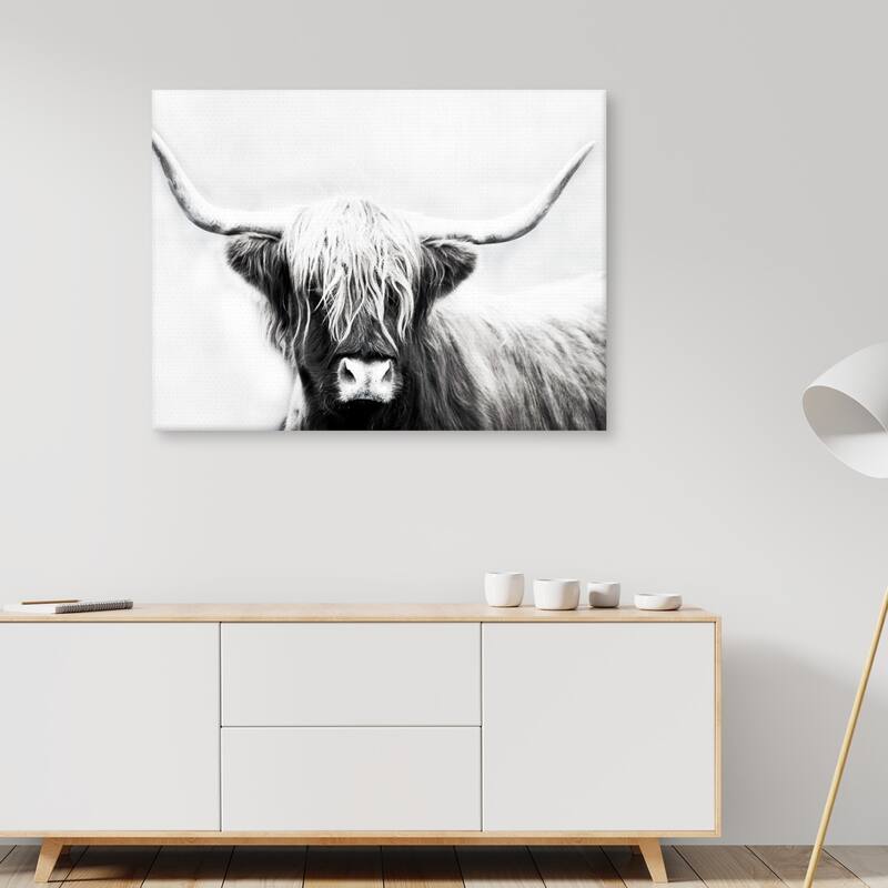 Highland Longhorn by Danita Delimont Canvas Art Print