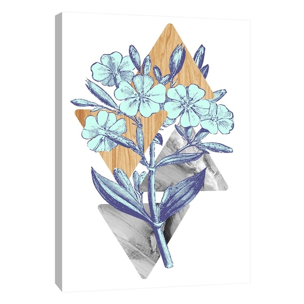 PTM Images 9-105854 PTM Canvas Collection 10" x 8" - "Botanical Studies 3" Giclee Flowers Art Print on Canvas