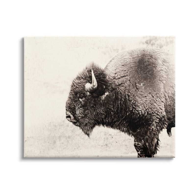 Stupell Shaggy Buffalo Rustic Portrait Vintage Sepia Tone Photography Canvas Wall Art - Black