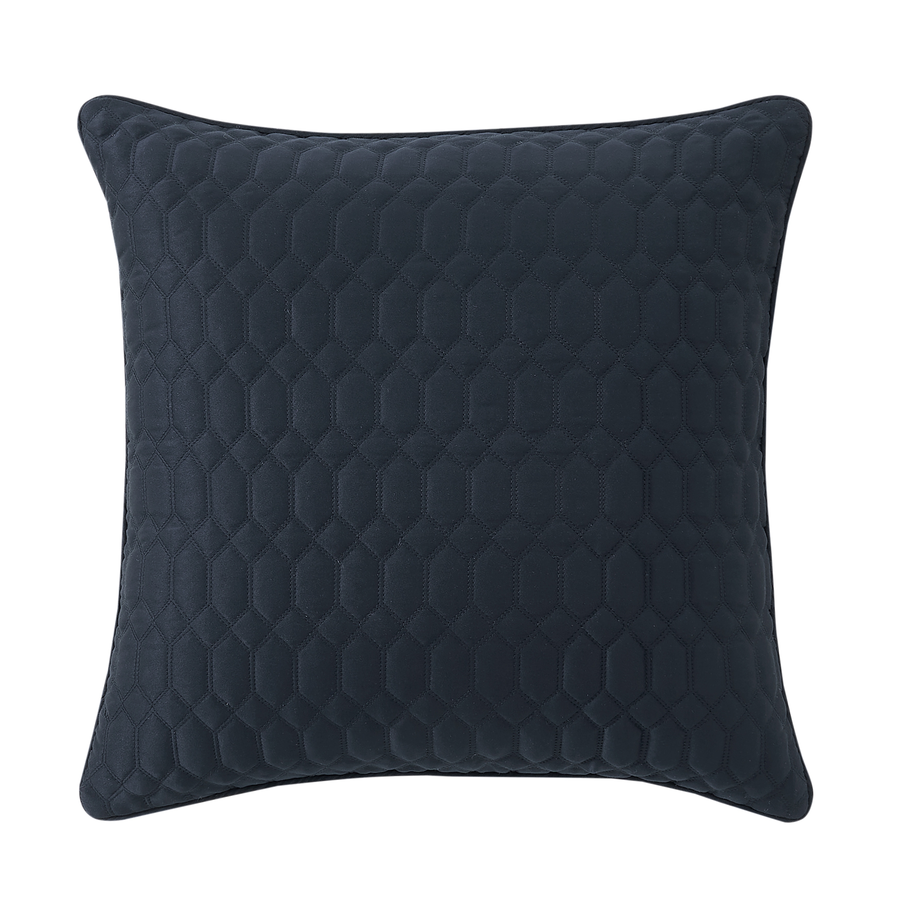 J. Queen New York Brilliance 20" Square Quilted Decorative Throw Pillow