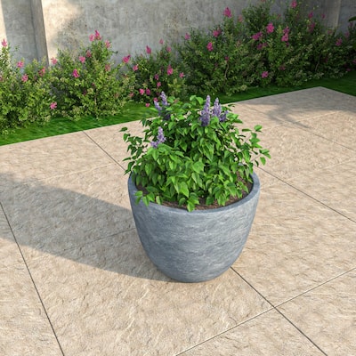 Dahlia Round Planter Pot in Fiberstone & MGO Clay with Drainage for Indoor Outdoor Patio Yard Weather Resistant Design