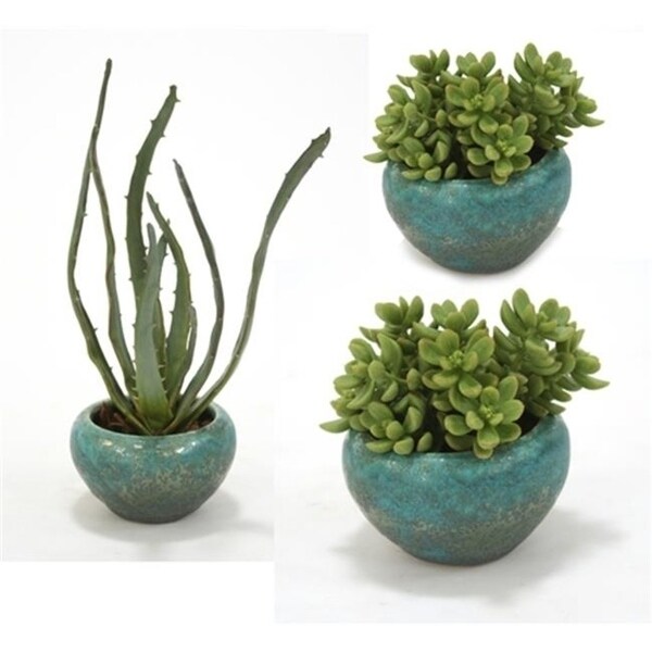 Distinctive Designs International 2981 Set Of 3 Faux Succulents In Antique Turquoise Bowls - 1 Large 2 Small