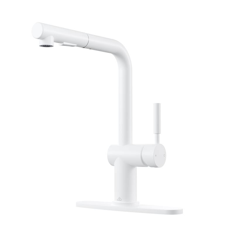 Single Handle Pull Out Sprayer Kitchen Faucet