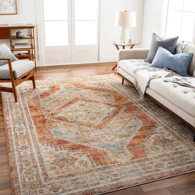 Abigail Traditional Medallion Area Rug