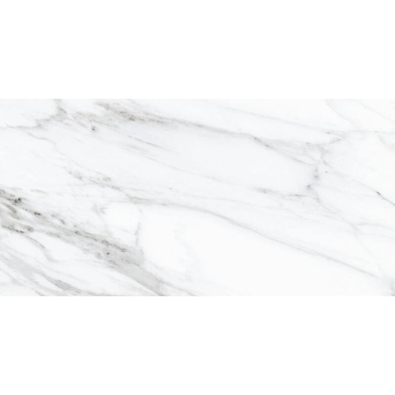 The Tile Life Belus 24x48 White Polished Porcelain Floor & Wall Tile - 4 x 4 Sample