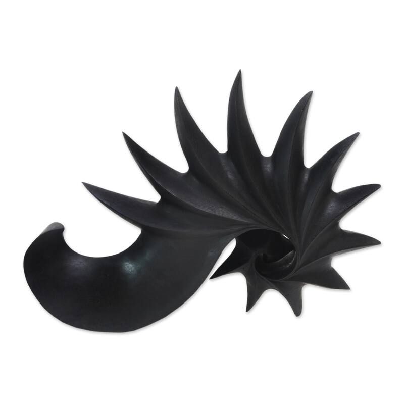 Novica Handmade Black Spider Conch Wood Sculpture