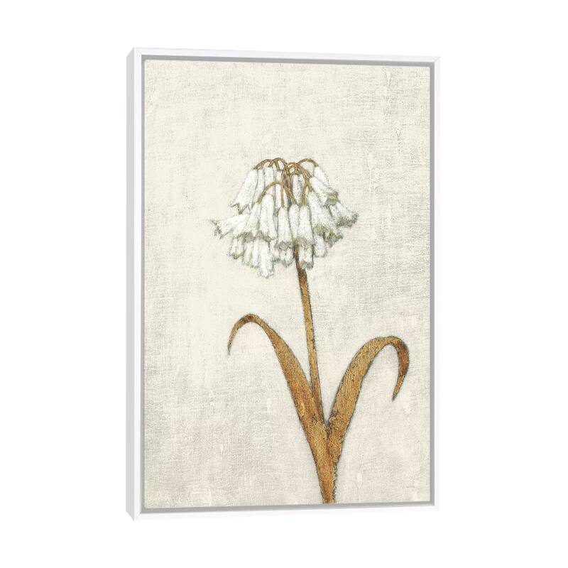 iCanvas "Shimmering Summer II Ivory" by James Wiens Framed Canvas Print - White - 48x32