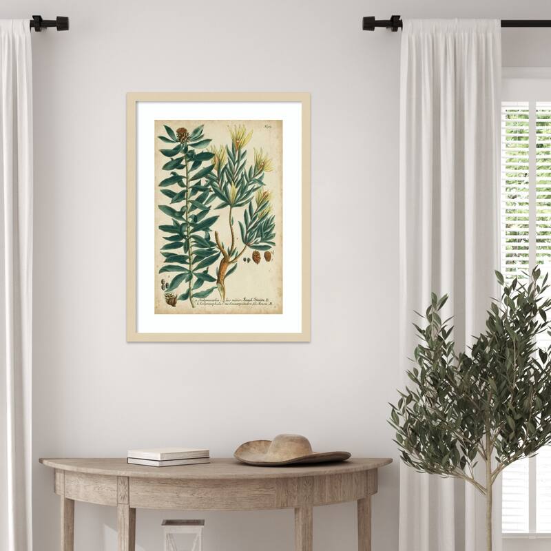 Weinmann Foliage and Fruit No. 4 by Johann Wilhem Weinmann Wood Framed Wall Art Print - Svelte Natural
