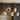 Modern LED Gold 5-Light Chandelier Kitchen Island Light for Dining Room - W 40.1" * H 11.8" * D 7.7"