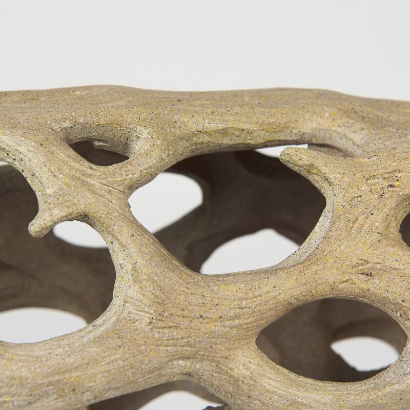 Dwell Cholla Wood Resin Decorative Object