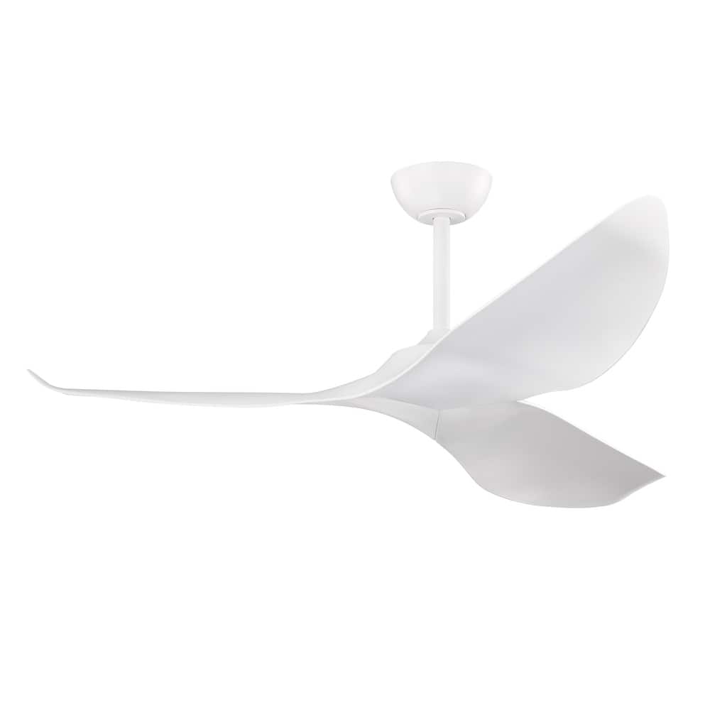 Duncan Modern 3 Bladed Ceiling Fan with Remote