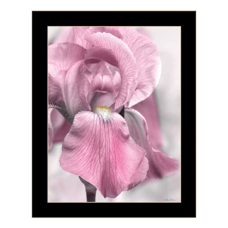 TrendyDecor4U "Pink Iris" Framed Print Wall Art - Black