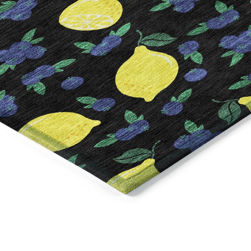 Machine Washable Indoor/ Outdoor Citrus Berry Chantille Rug