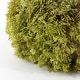 preview thumbnail 3 of 2, SAFAVIEH Faux 10 Inch Moss Pumpkin - 10" W x 10" D x 6" H