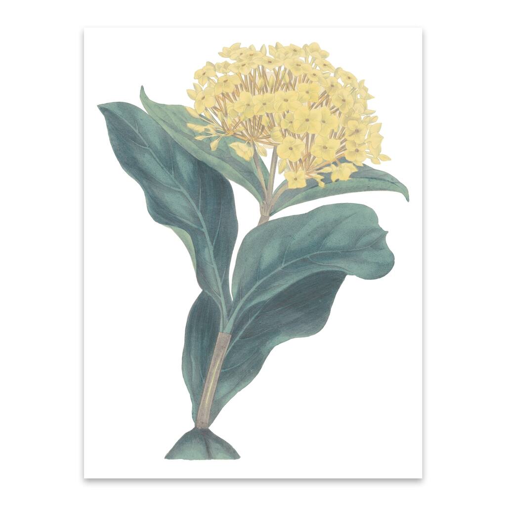 Beach Botanical Floral Floral Botanical Metal Wall Art Print