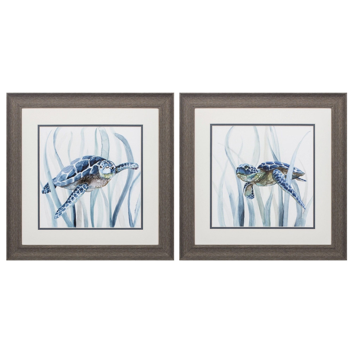 Propac Images Turtle in Grass Set of 2 Wall Art - Blue