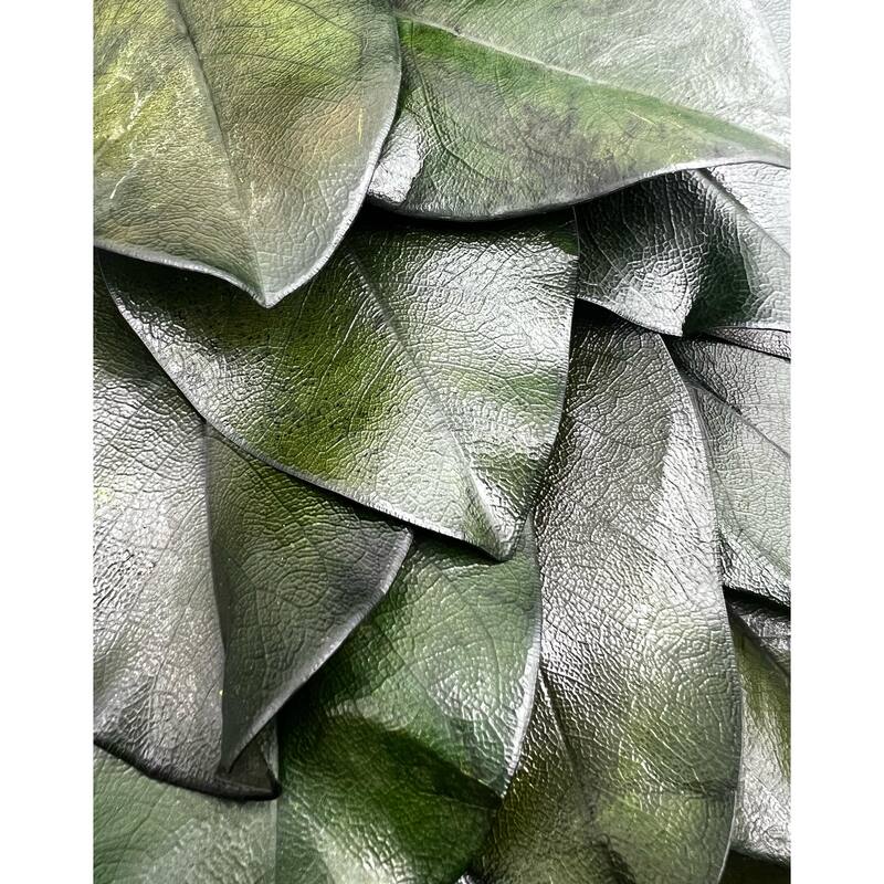 Preserved Decorative Real Magnolia Wreath 21 Inch Green Bed Bath