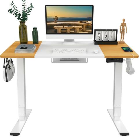 FlexiSpot Dual Motor 3 Stages Height Adjustable Desk Stand Up Desk with USB Charging Port and Hooks