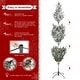 preview thumbnail 93 of 131, Glitzhome 6FT/7.5FT/9FT/11FT Snow Flocked Pre-lit Artificial Fir Christmas Trees