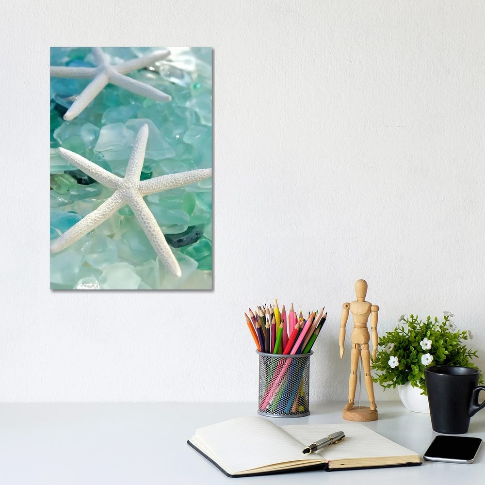 iCanvas "Seaglass 1" by Alan Blaustein Canvas Print