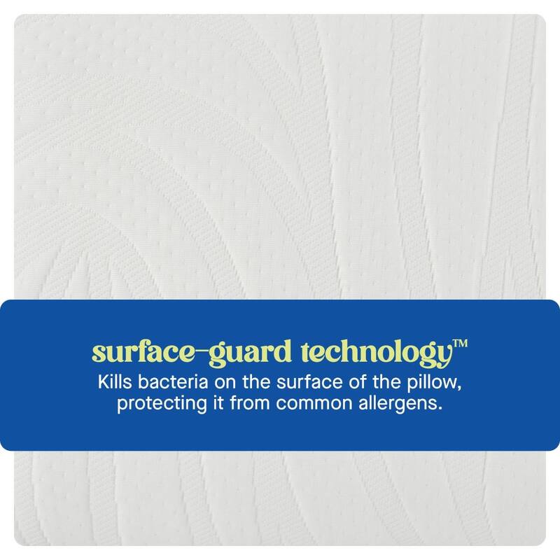 Sealy Dreamlife Performance Foam Pillow, Standard