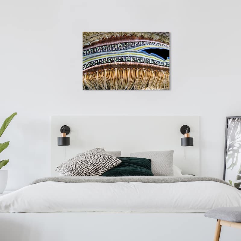Wynwood Studio Nautical and Coastal David Fleetham - Coral Boring Scallop Brown and Nautical & Coastal Wall Art Canvas Print - 24 x 36