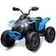 Option Blue