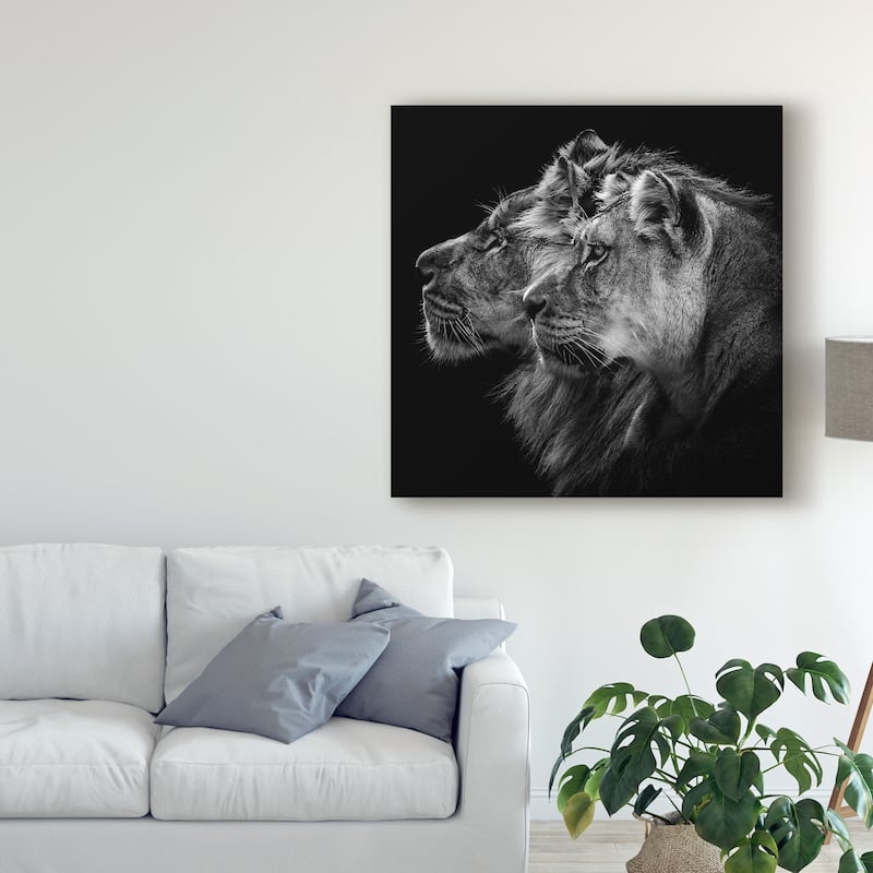 Laurent Lothare Dambreville 'Lion And Lioness Portrait' Canvas Art