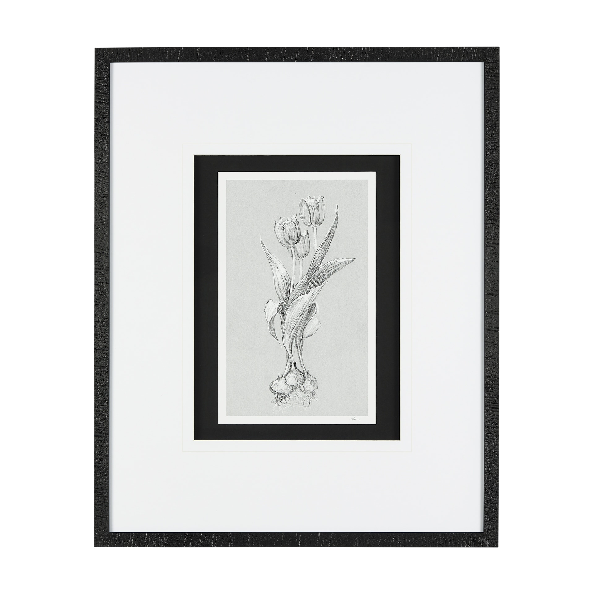Botanical sketches I (Grey) by Mercana Studio Hand Embellished Framed Art Print Matted under Glass