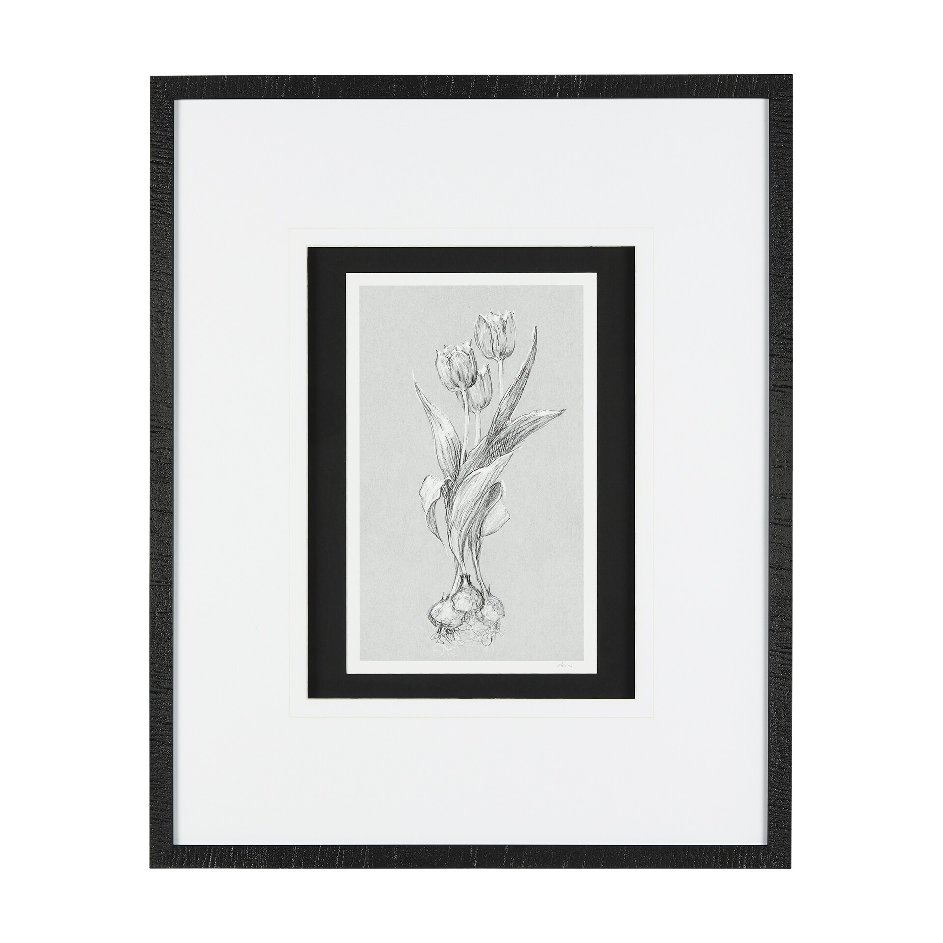 Botanical Sketches V (Grey) Framed Art Print - On Sale - Overstock