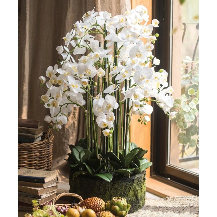 Shop Rusticreach Large Orchid Arrangement In Soil Overstock 25628199